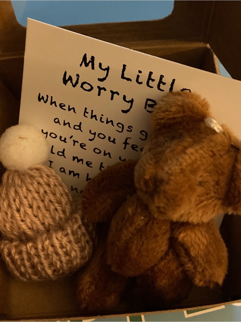 Soft Brown Worry Bear Plush with Knit Hat - Kids Toys